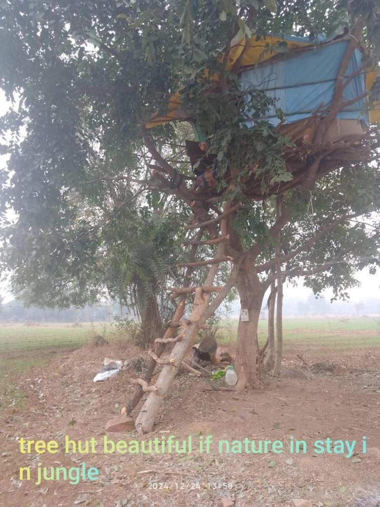 Maji Homestay Khajurāho Extérieur photo