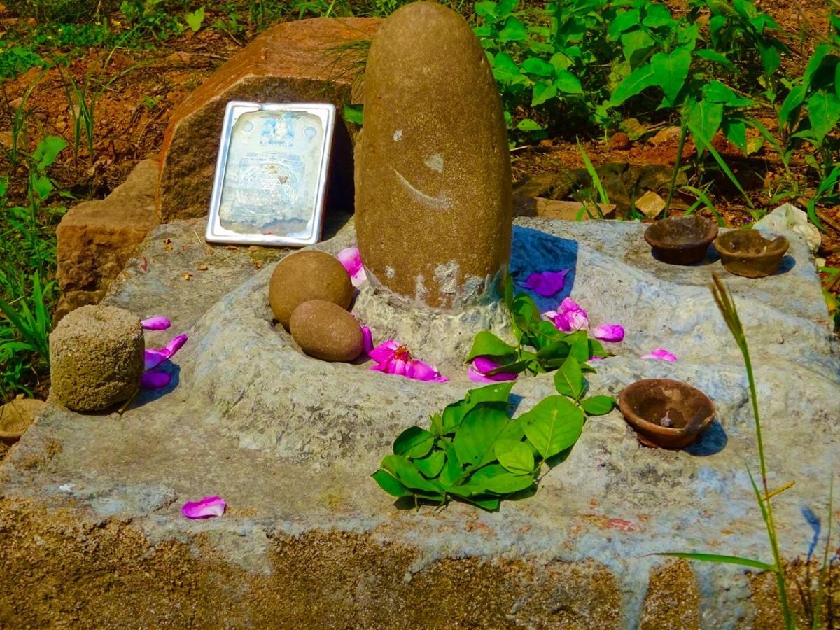 Maji Homestay Khajurāho Extérieur photo