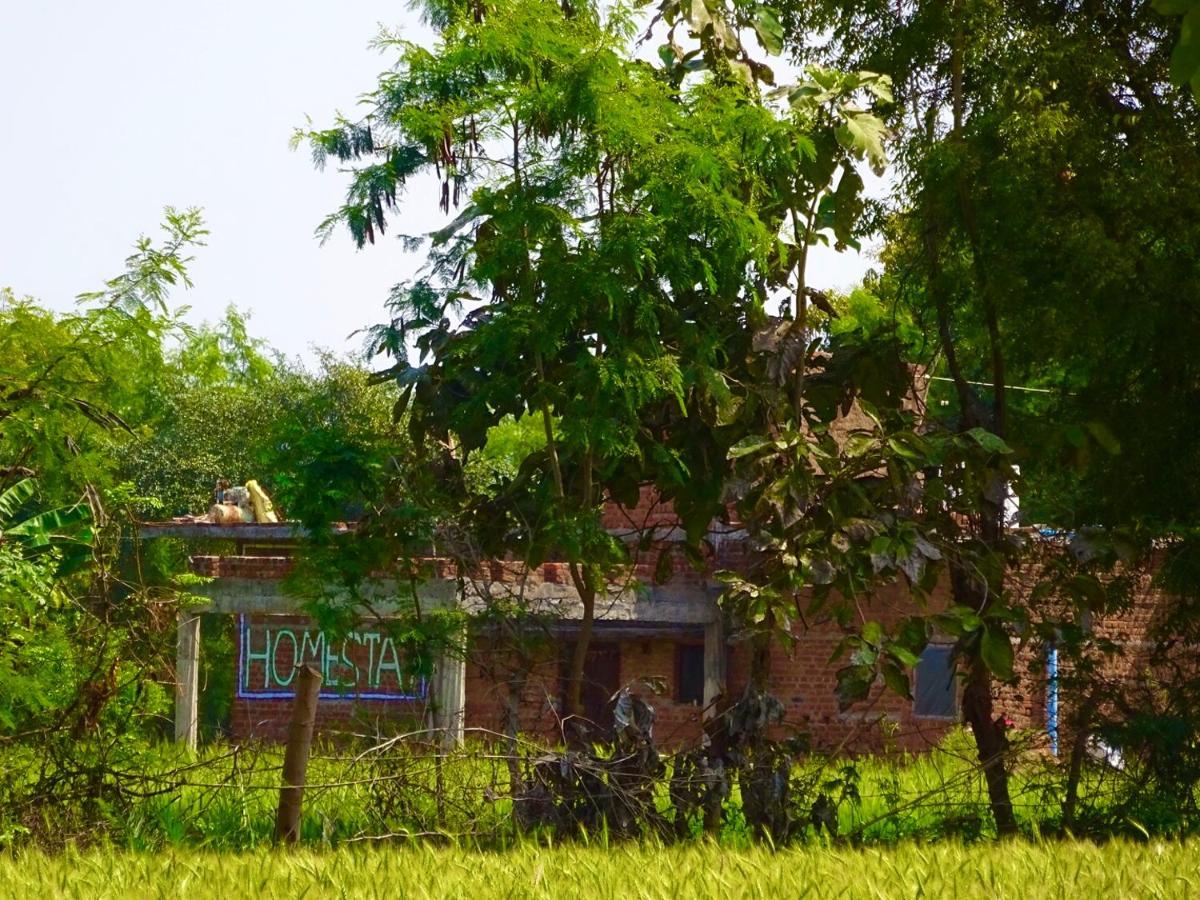 Maji Homestay Khajurāho Extérieur photo